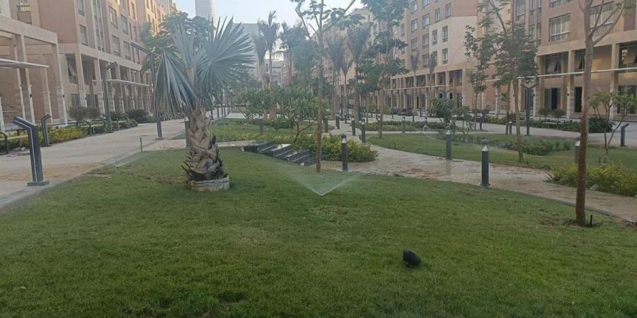 رئيس جهاز العاصمة الإدارية: تكثيف أعمال الري والصيانة والتشجير بالحي السكني الثالث (صور)