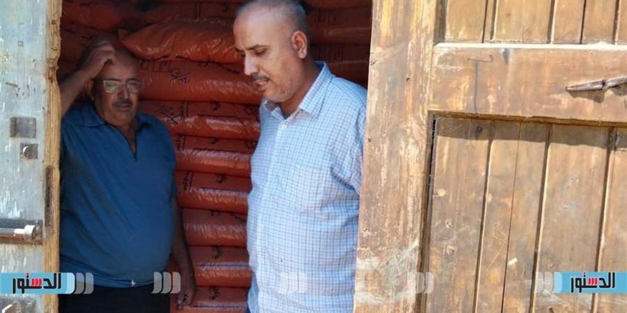 "زراعة كفر الشيخ": نعمل بشكل مكثف على تحسين إنتاجية القطن ودعم المزارعين