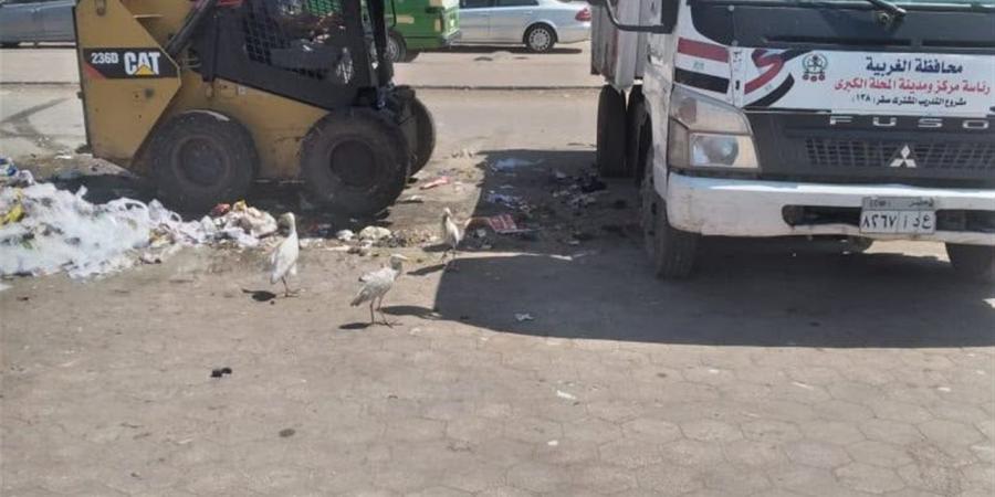 رفع 798 طن مخلفات خلال حملة نظافة في المحلة الكبرى