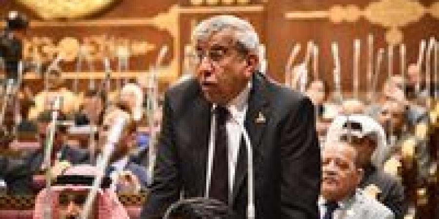 النائب علاء عبد النبي يرفض خطة التنمية: الأرقام غير واقعية ولا تعكس الوضع الفعلي