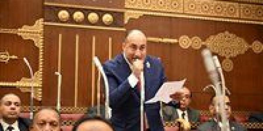 النائب عمرو رشاد: خطة التنمية تأتي في ظرف اقتصادي عالمي صعب وتتطلب مرونة في التنفيذ وزيادة دور القطاع الخاص