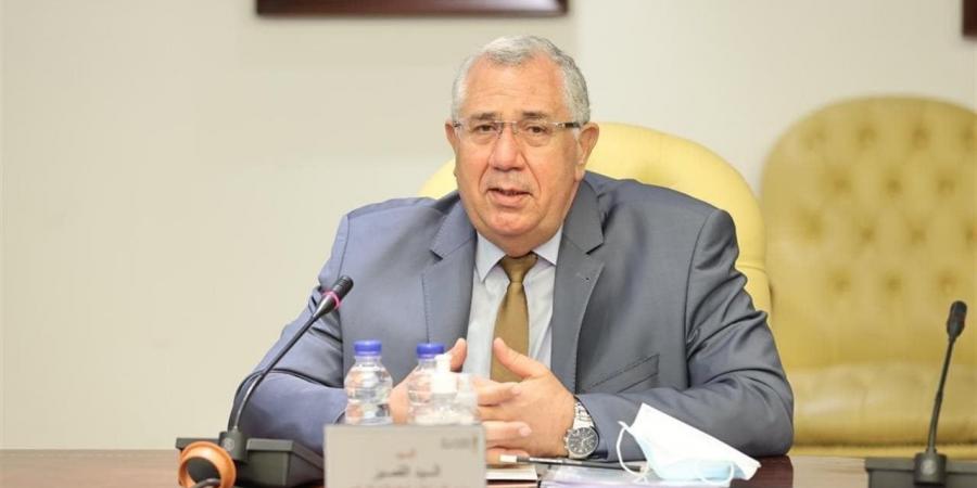السيد القصير: ملف الكلاب الضالة من القضايا التي تتداخل فيها العديد من الجوانب الصحية والبيئية والتشريعية