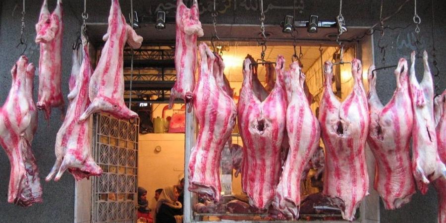 أسعار اللحوم الطازجة والمجمدة اليوم فى محافظة البحيرة