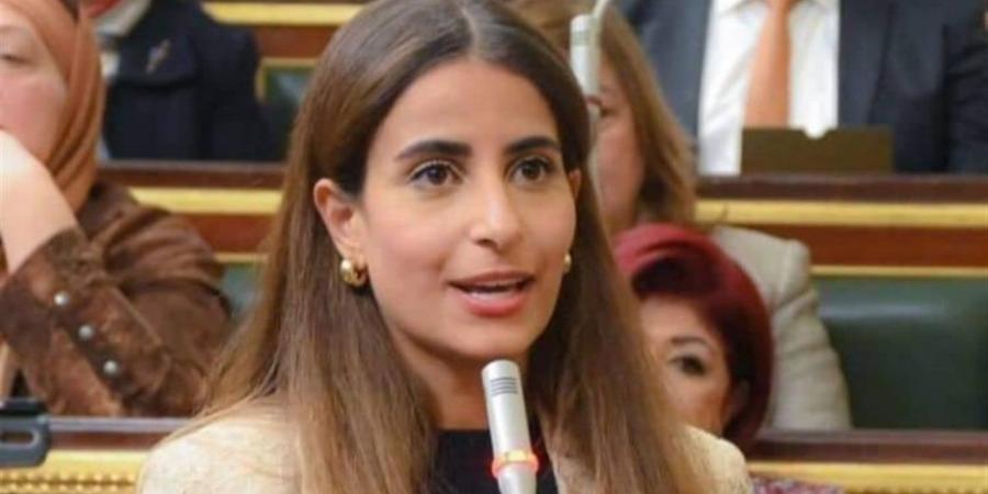 "تضامن النواب" تبدا مناقشة طلبات إحاطة حول كارت الخدمات المتكاملة وبرنامج تكافل وكرامة..الأحد