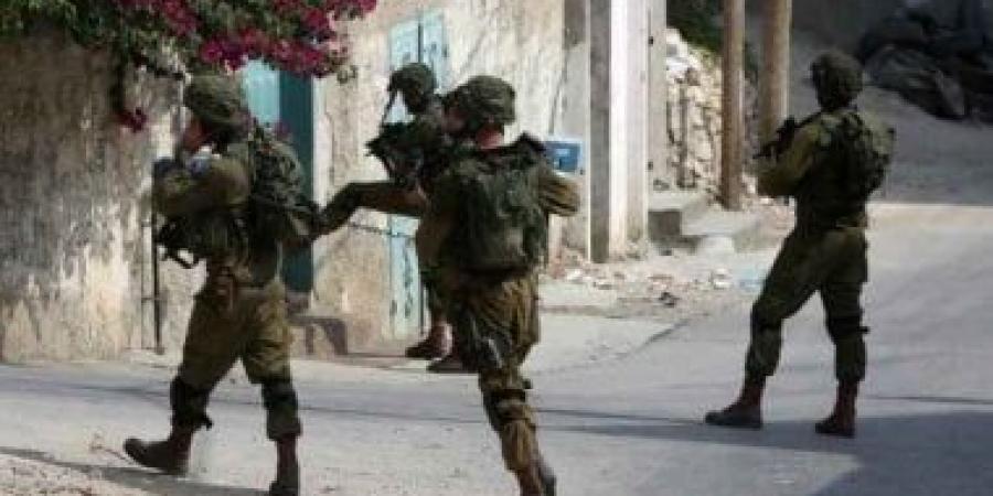 فلسطين تدين ترحيل سلطات الاحتلال الإسرائيلي الصحفية الفرنسية أليس فروسارد