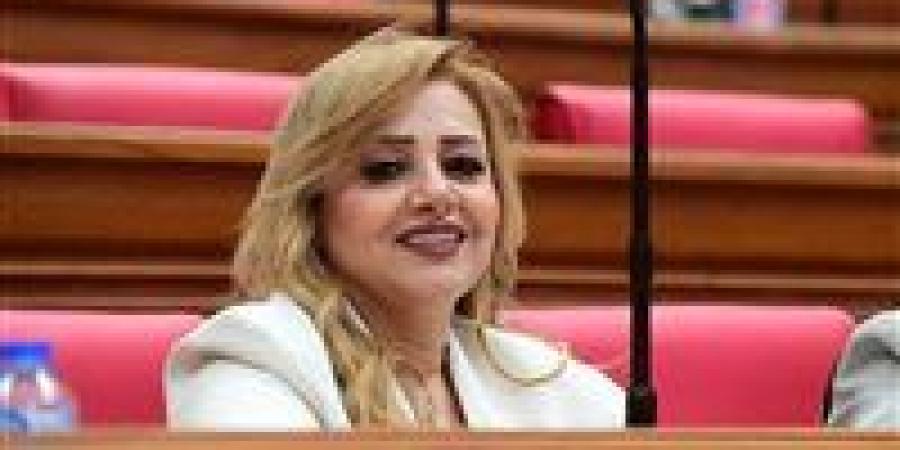 طلب إحاطة للنائبة هبه غالي بشأن خطة الحكومة لحل أزمة أصحاب العدادات الكودية