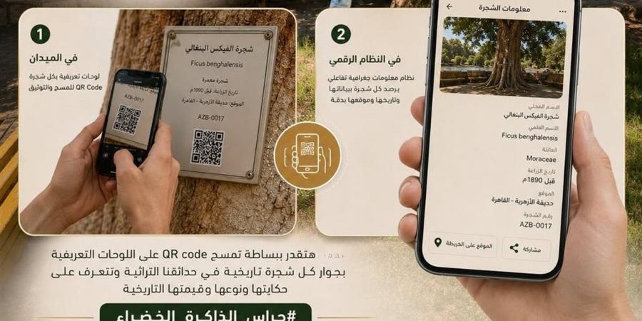 بخريطة تفاعلية وQR Code.. التنسيق الحضاري يطلق مشروع "توثيق الأشجار النادرة والمعمرة"