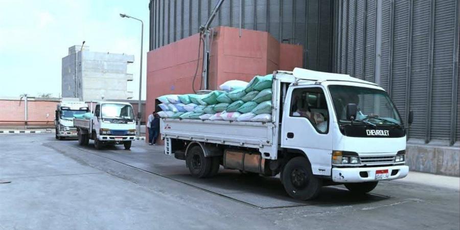 "تموين الإسكندرية": توريد 91 ألفا و172 طن قمح محلي حتى الآن
