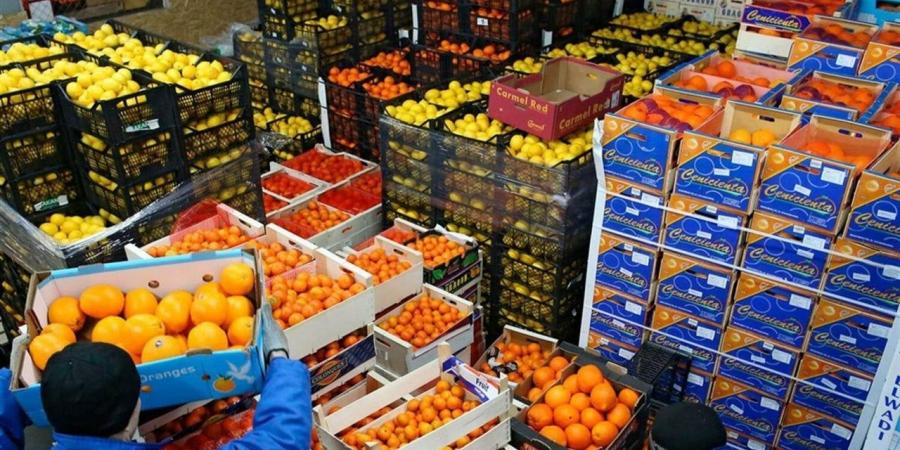 صادرات الصناعات الغذائية تسجل 6.8 مليار دولار.. ومقترحات مصرفية جديدة لتعزيز النمو