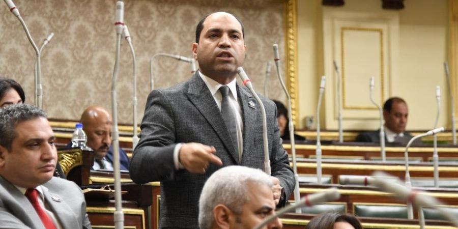 الإخوان حاولوا السطو على مصر من خلال الإعلان الدستوري