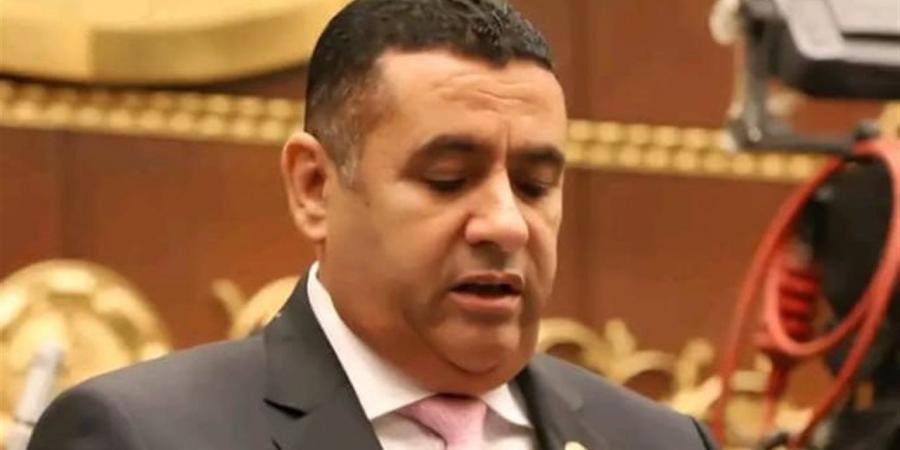 نائب: مشاركة السيسي في "قمة السبع" تعكس صعود مصر كقوة اقتصادية