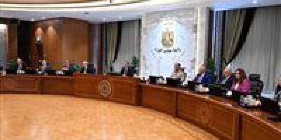 ننشر قرارات مجلس الوزراء اليوم الأربعاء