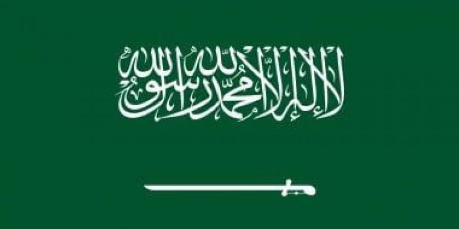 وزير الخارجية السعودى يبحث مع نظيره البرتغالى التطورات الإقليمية والدولية