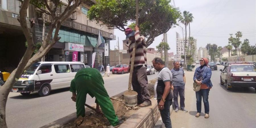الإسماعيلية تواصل حصر وتكويد الأشجار ضمن مبادرة "100 مليون شجرة"