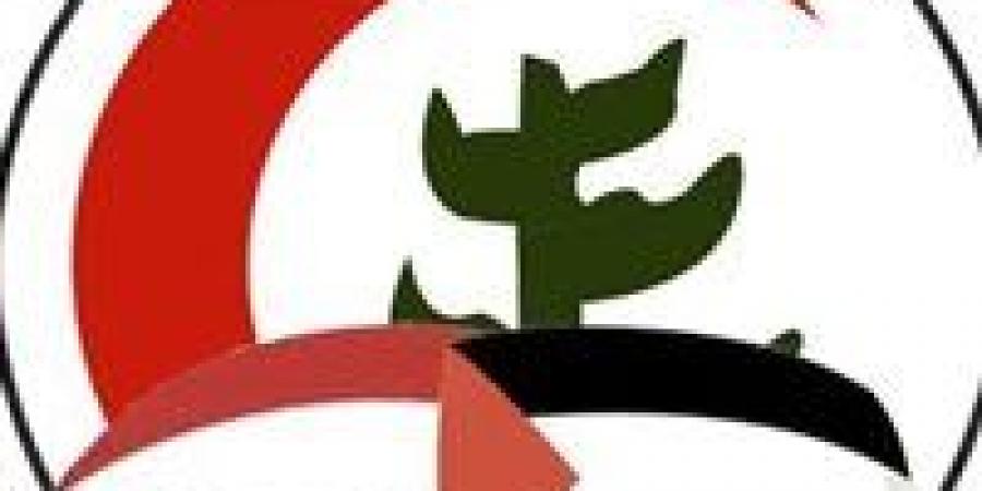 امسح الكود وتأكد بنفسك.. نقابة الأطباء تعلن إجراءات غير مسبوقة لحماية المرضى