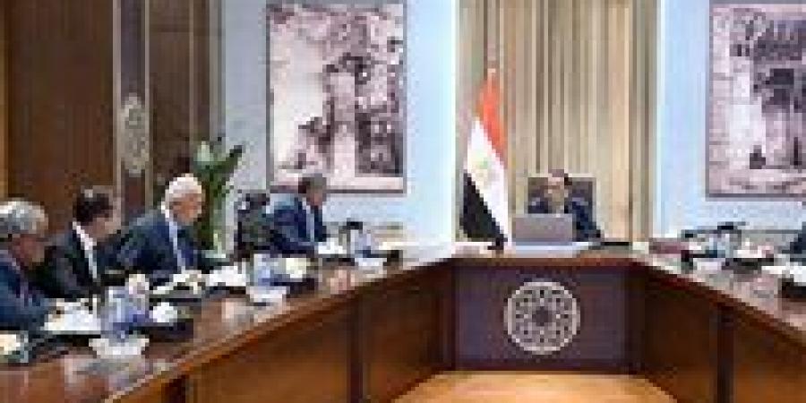 رئيس الوزراء يبحث مع ممثلي قطاعي السياحة والطيران سبل دفع الحركة السياحية