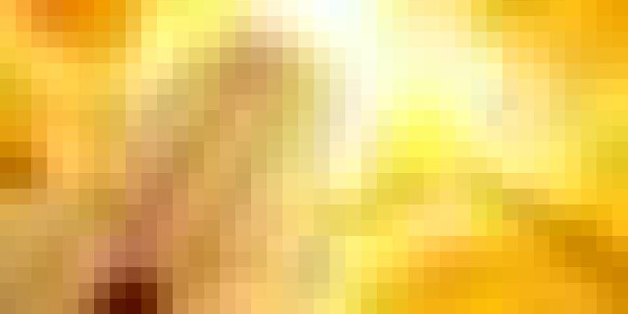موجة حر قياسية تصل إلى 49° اليوم وغدا في هذه الولايات