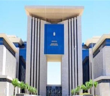 لجان من الأحوال المدنية تتوجه إلى الخارج لإصدار بطاقات الرقم القومي للمصريين