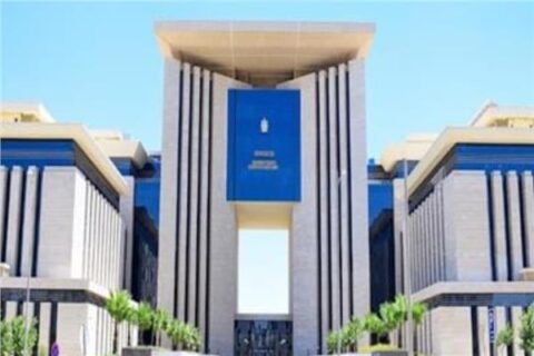 لجان من الأحوال المدنية تتوجه إلى الخارج لإصدار بطاقات الرقم القومي للمصريين