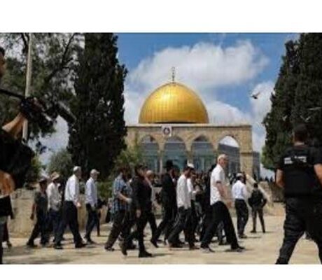 دائرة شؤون القدس تندد بانتهاكات الاحتلال والمستوطنين بحق المسجد الأقصى