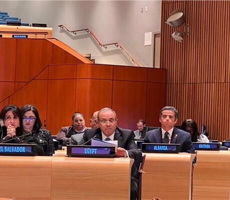وزير الخارجية يشدد على أهمية تعزيز المؤسسات الوطنية للحد من النزاعات