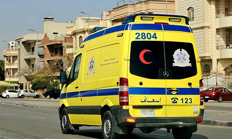 مصدر يكشف تفاصيل جديدة حول حادثة طالبة الصف وشقيقها حسام البالغ من العمر 18 عامًا