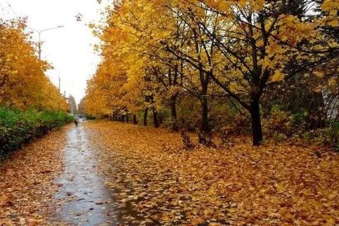 مصر تستقبل فصل الخريف رسميًا غدًا بعد انتهاء الصيف