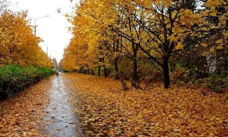 مصر تستقبل فصل الخريف رسميًا غدًا بعد انتهاء الصيف