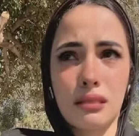 محامي يوسف السوري زوج دينا عزت يكشف عن تقديم أدلة تدعم بطلان القبض والتفتيش وانتظار نتائج التحقيقات