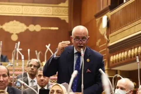عضو بمجلس الشيوخ يدعو إلى توسيع نطاق مبادرة خفض أسعار السلع لتخفيف الضغوط عن المواطنين