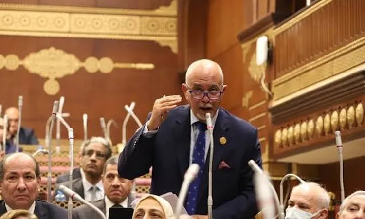 عضو بمجلس الشيوخ يدعو إلى توسيع نطاق مبادرة خفض أسعار السلع لتخفيف الضغوط عن المواطنين