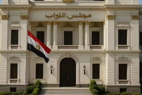 مجلس النواب يحدد 100 مقعد في 25 لجنة نوعية خلال دور الانعقاد الثاني