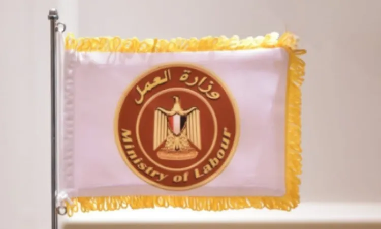 وزير العمل يعلن اعتماد 5732 ناجحًا في مهنة مساعد الخدمات الصحية ونشر نتائج المرحلة الأولى من مشروع مهني 2030 إلكترونيًا لأول مرة