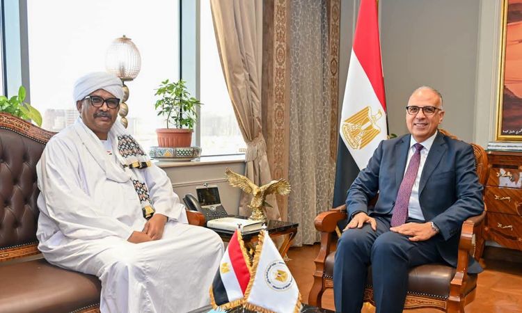 وزيرَا الري في مصر والسودان يؤكدان أهمية تأمين حقوق بلديهما في مياه النيل وتعزيز التعاون الثنائي